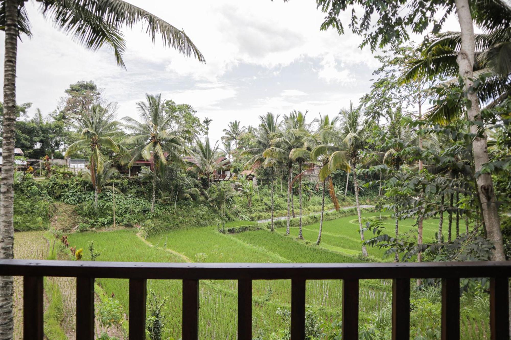 Nea Cottage Lombok Tetebatu Exteriér fotografie