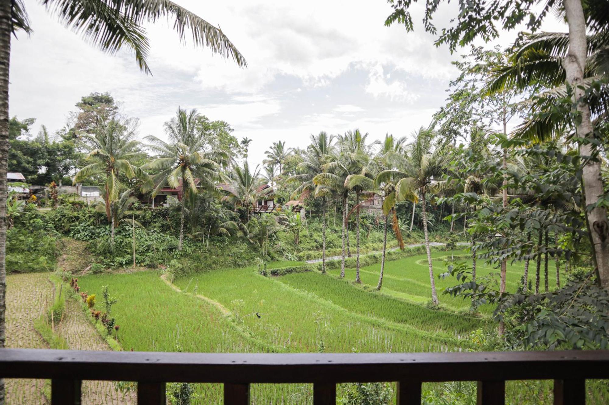 Nea Cottage Lombok Tetebatu Exteriér fotografie