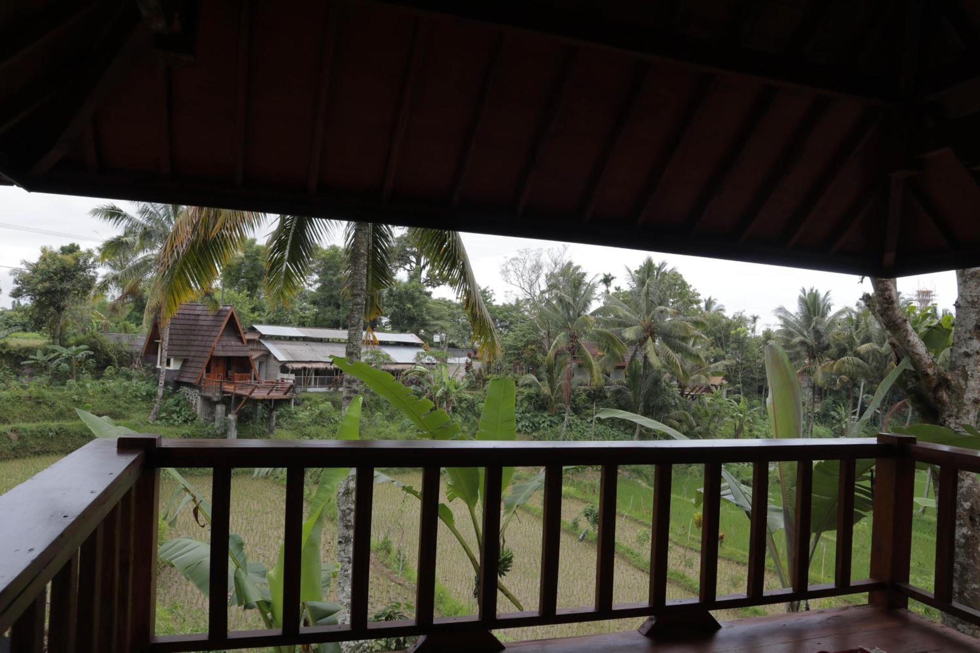 Nea Cottage Lombok Tetebatu Exteriér fotografie