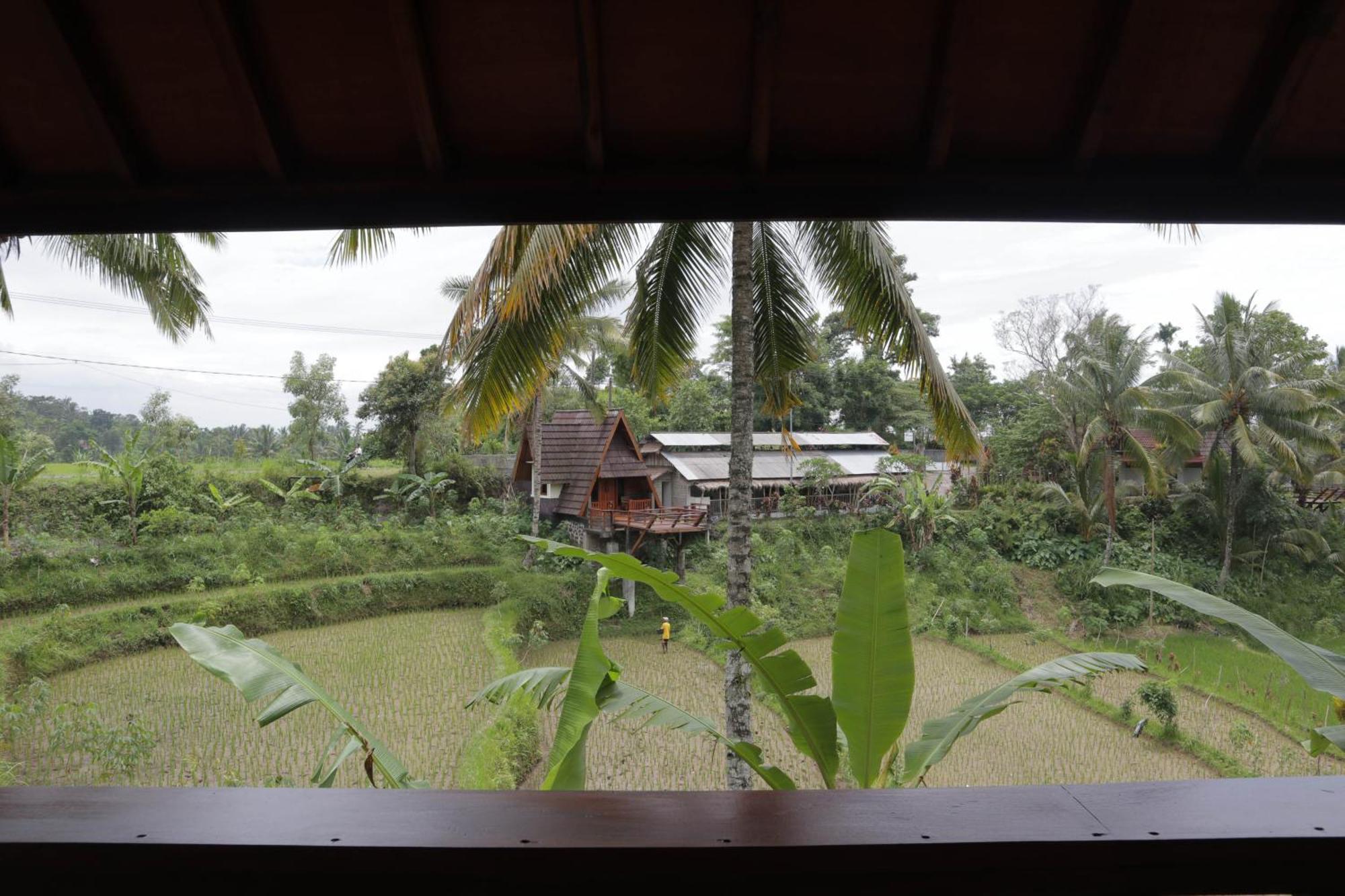 Nea Cottage Lombok Tetebatu Exteriér fotografie