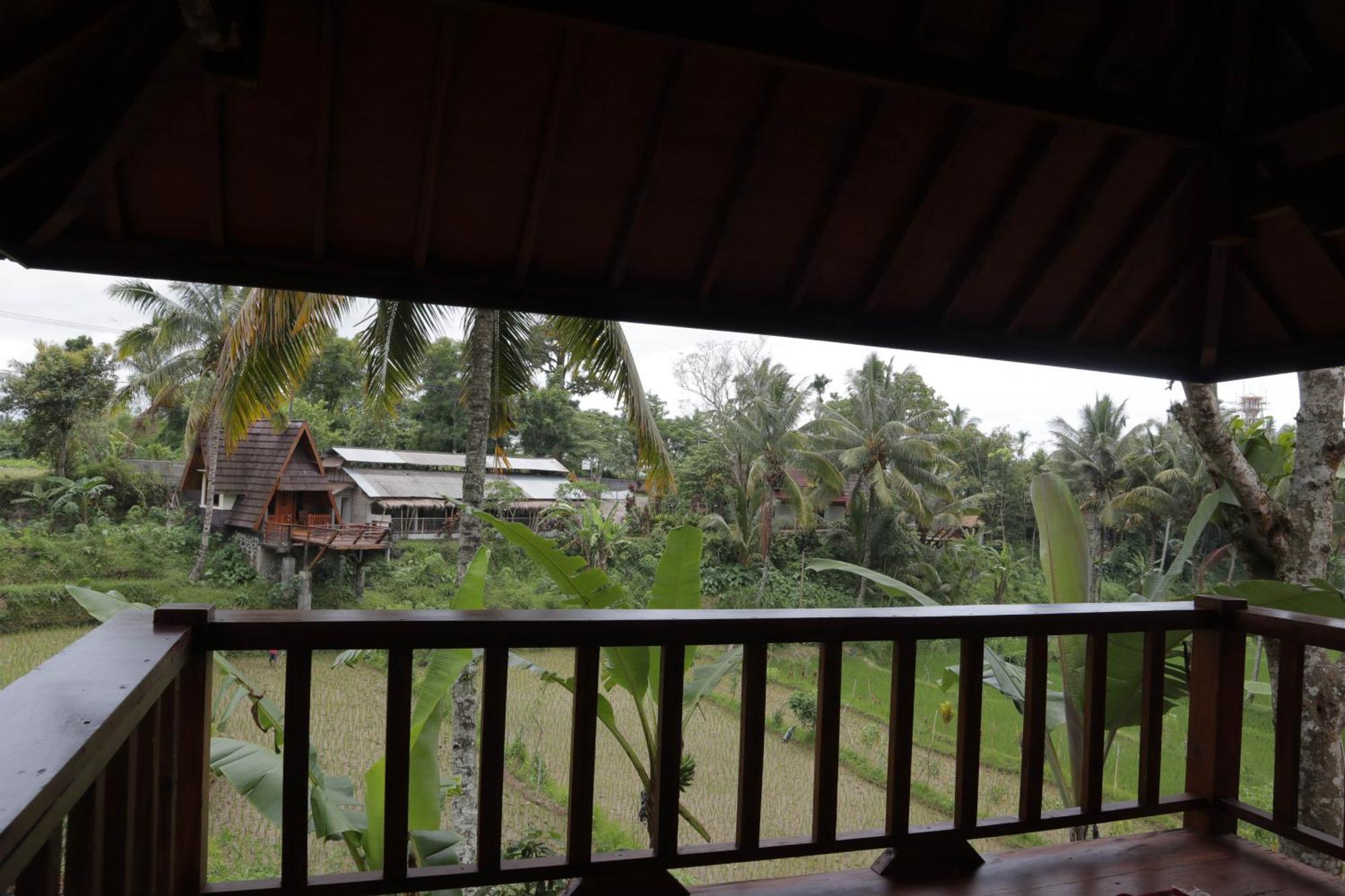Nea Cottage Lombok Tetebatu Exteriér fotografie
