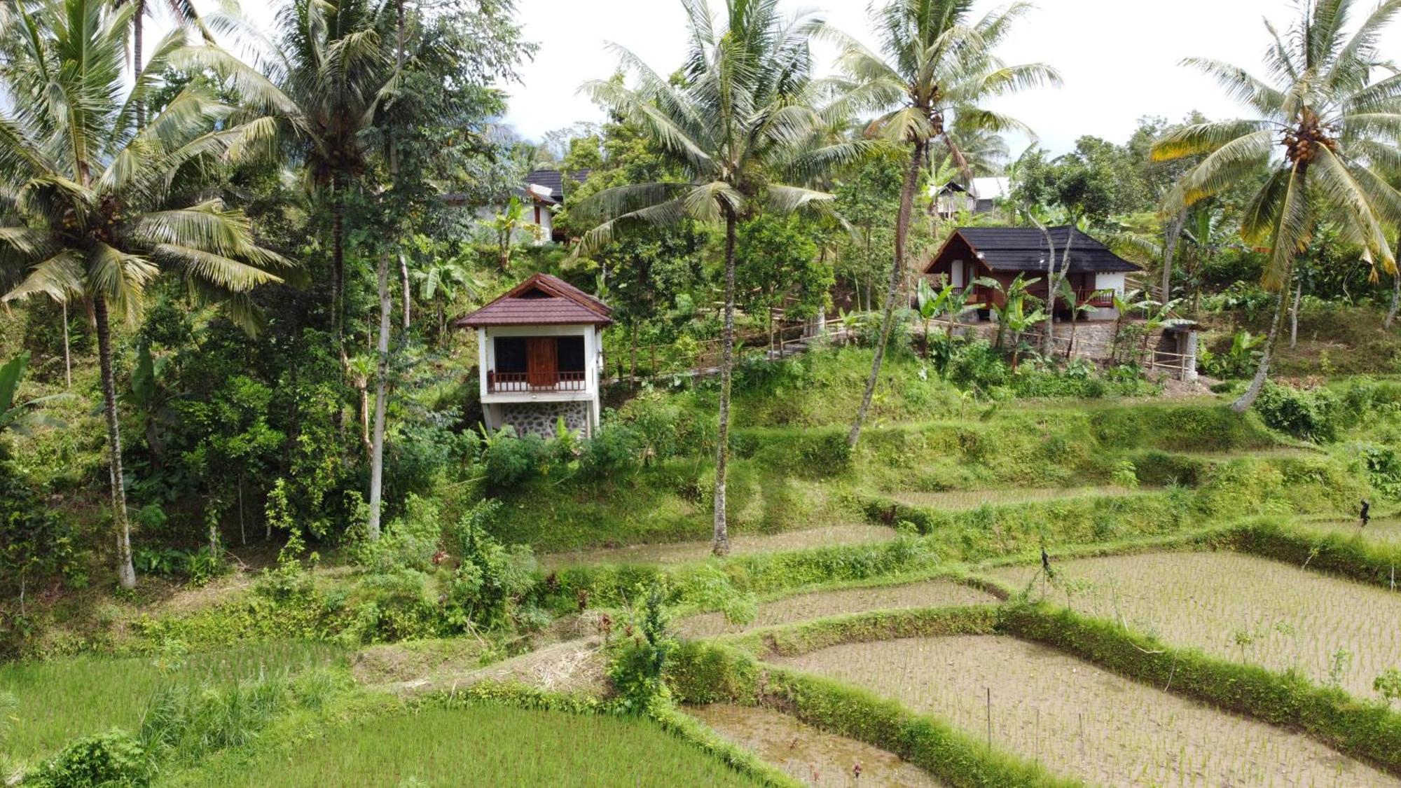 Nea Cottage Lombok Tetebatu Exteriér fotografie