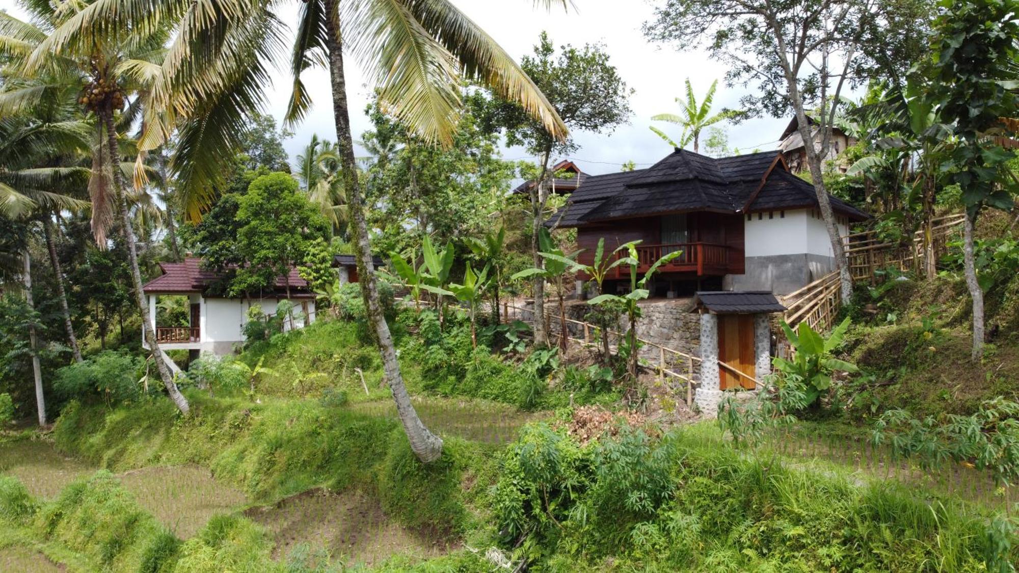 Nea Cottage Lombok Tetebatu Exteriér fotografie