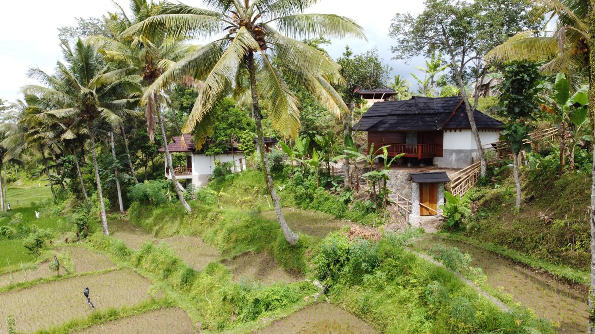 Nea Cottage Lombok Tetebatu Exteriér fotografie