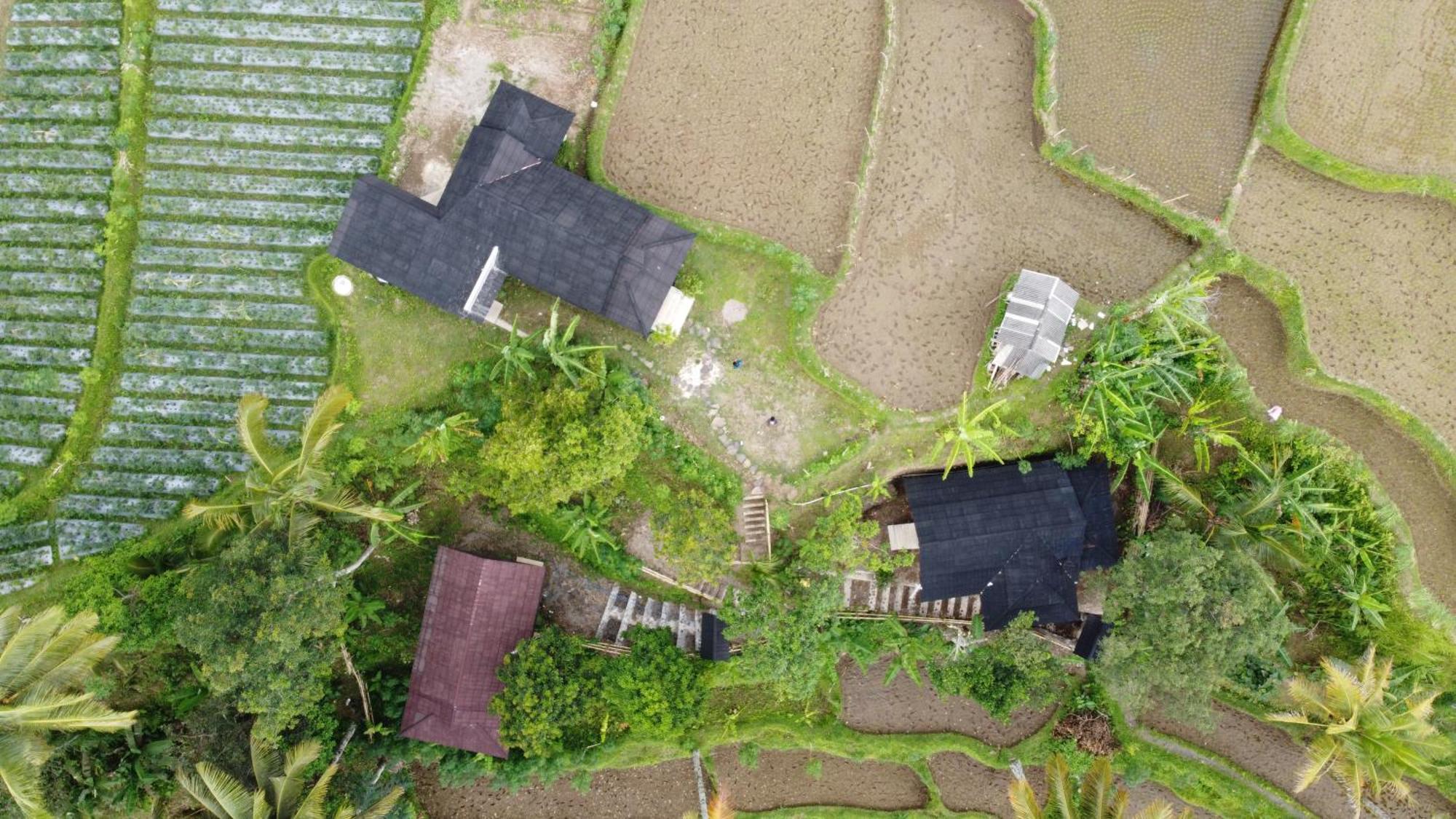Nea Cottage Lombok Tetebatu Exteriér fotografie