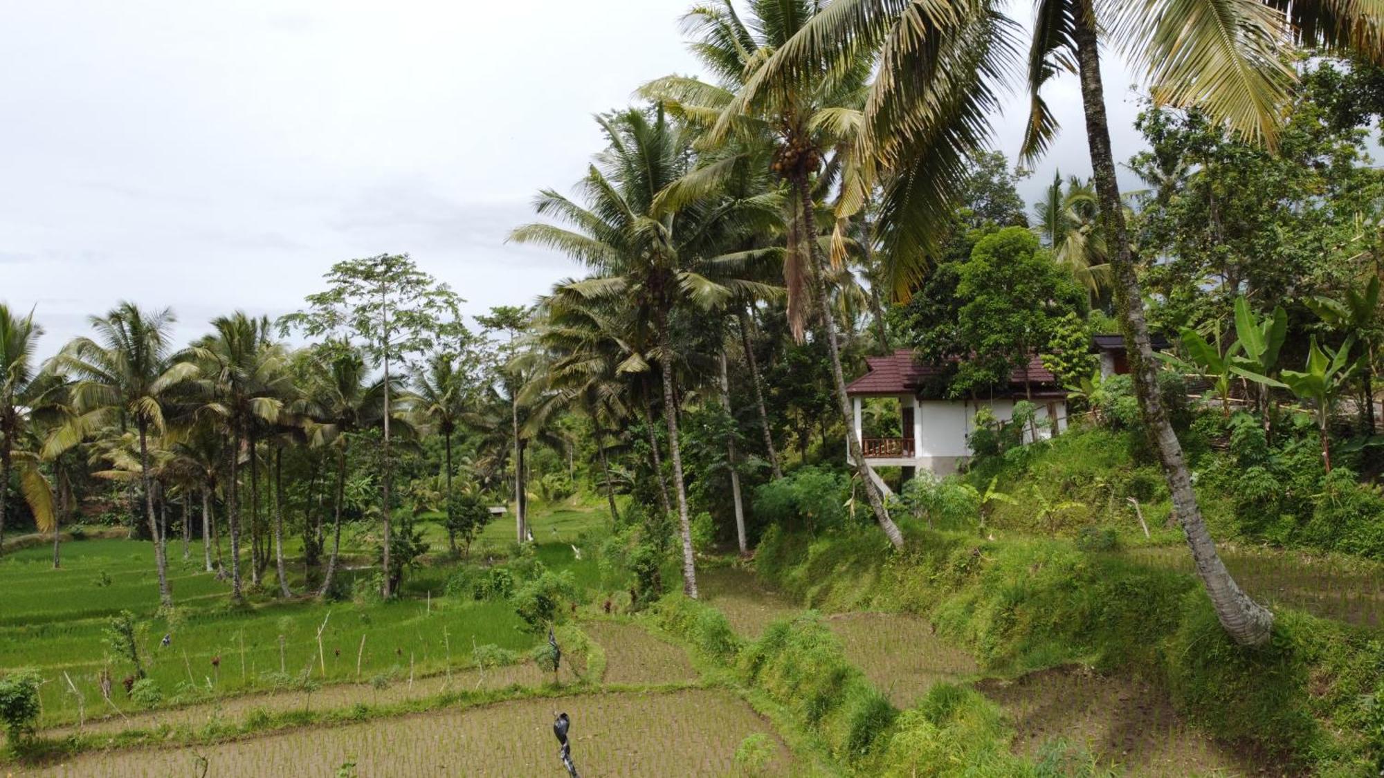 Nea Cottage Lombok Tetebatu Exteriér fotografie
