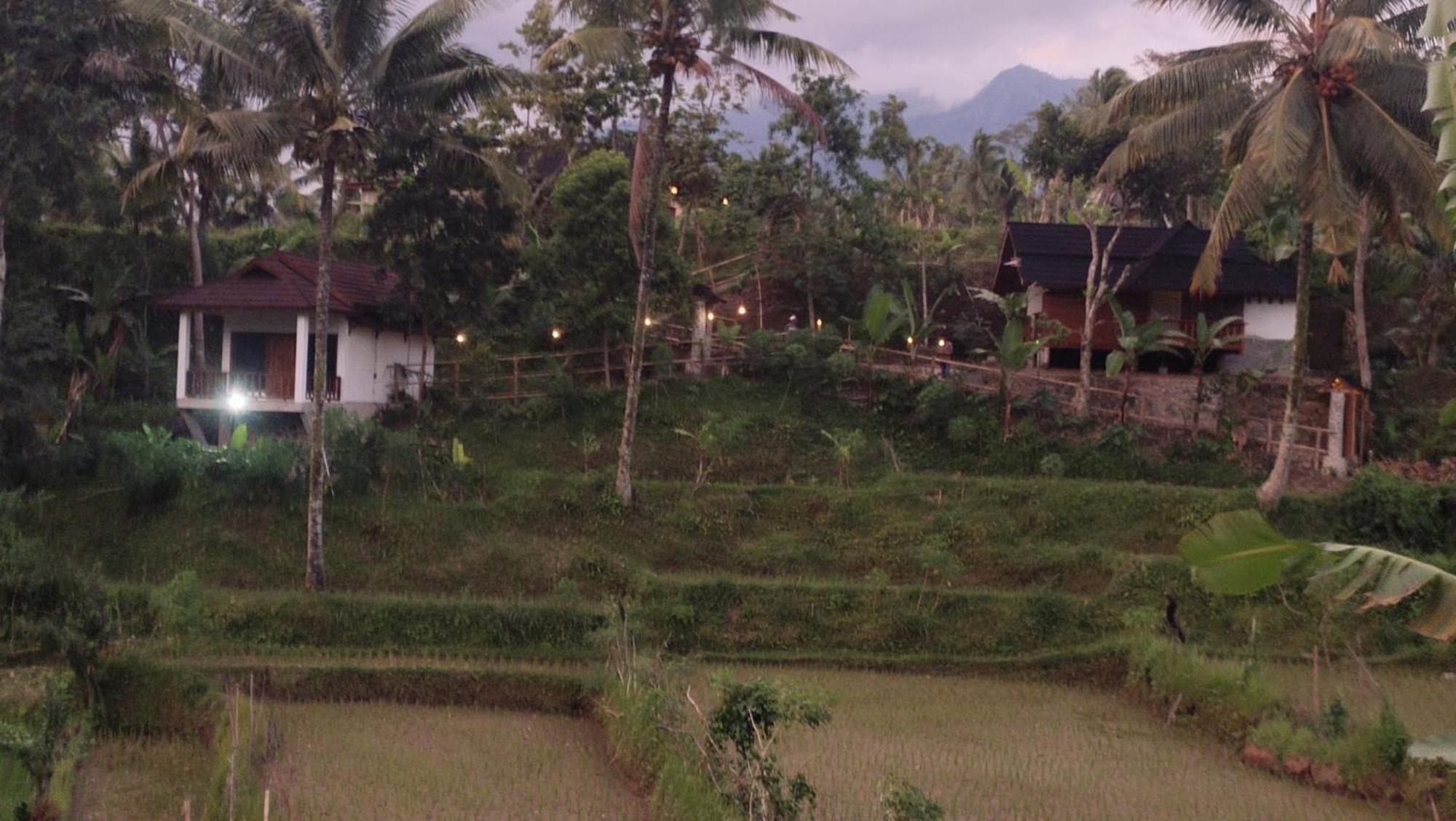 Nea Cottage Lombok Tetebatu Exteriér fotografie