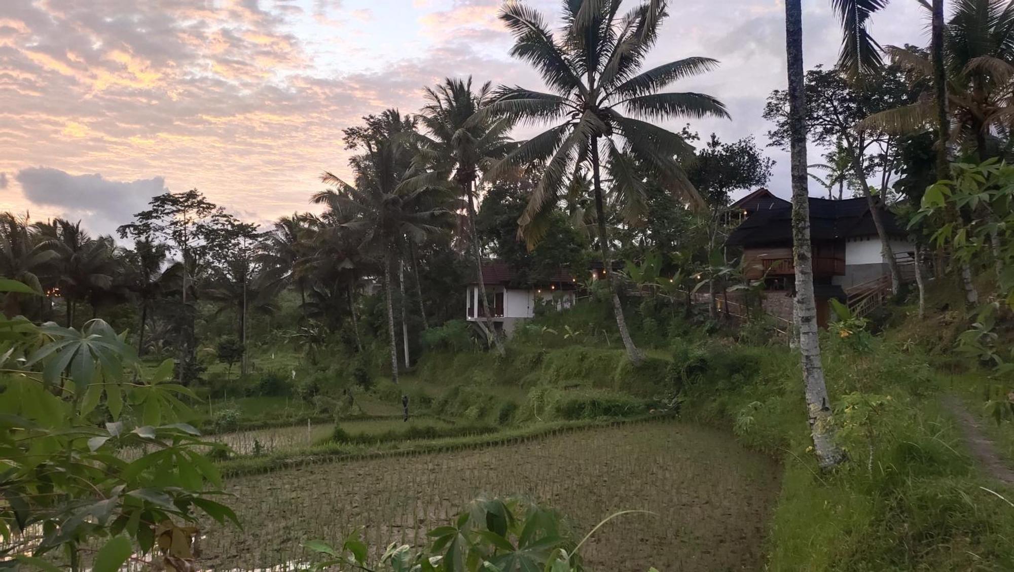 Nea Cottage Lombok Tetebatu Exteriér fotografie